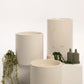 Three concrete basins with botanical styling and olive bottles